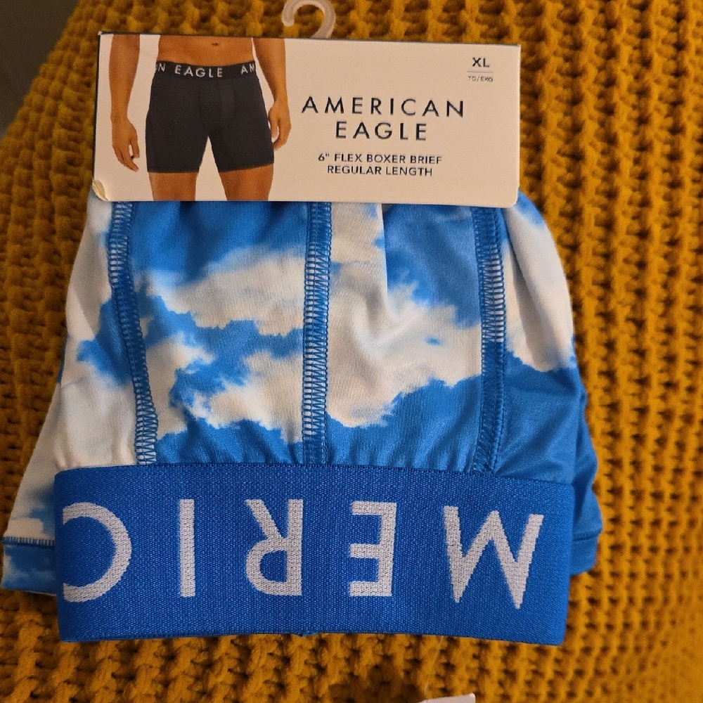 American Eagle Outfitters Sky Blue Boxer Briefs